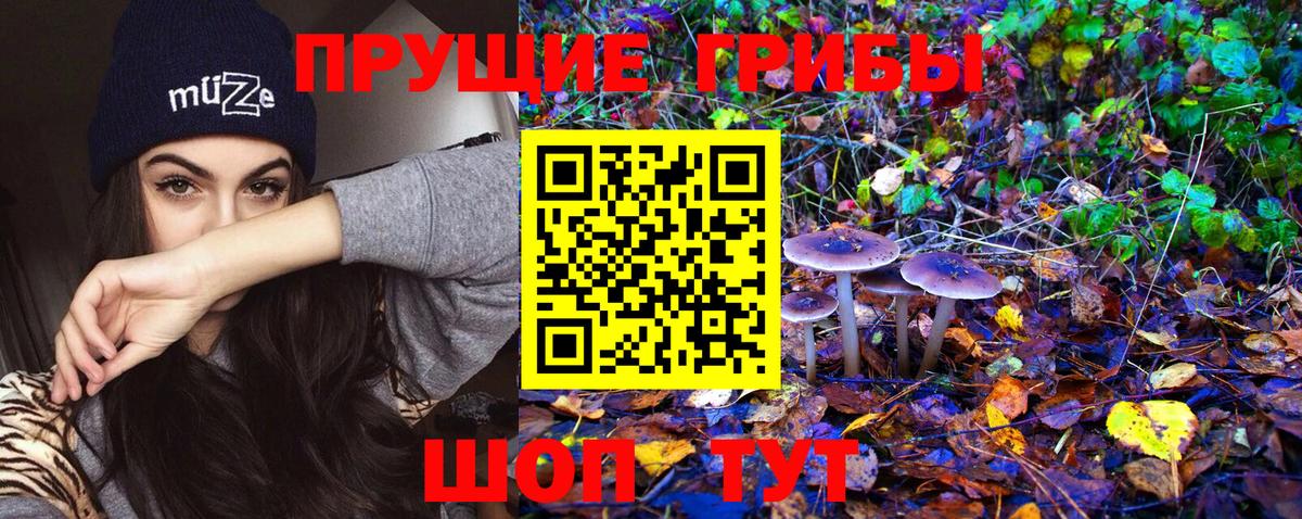 Галлюциногенные грибы ЛСД  Галлюциногенные грибы MAGIC MUSHROOMS  Усть-Кут  Вход с VPN 